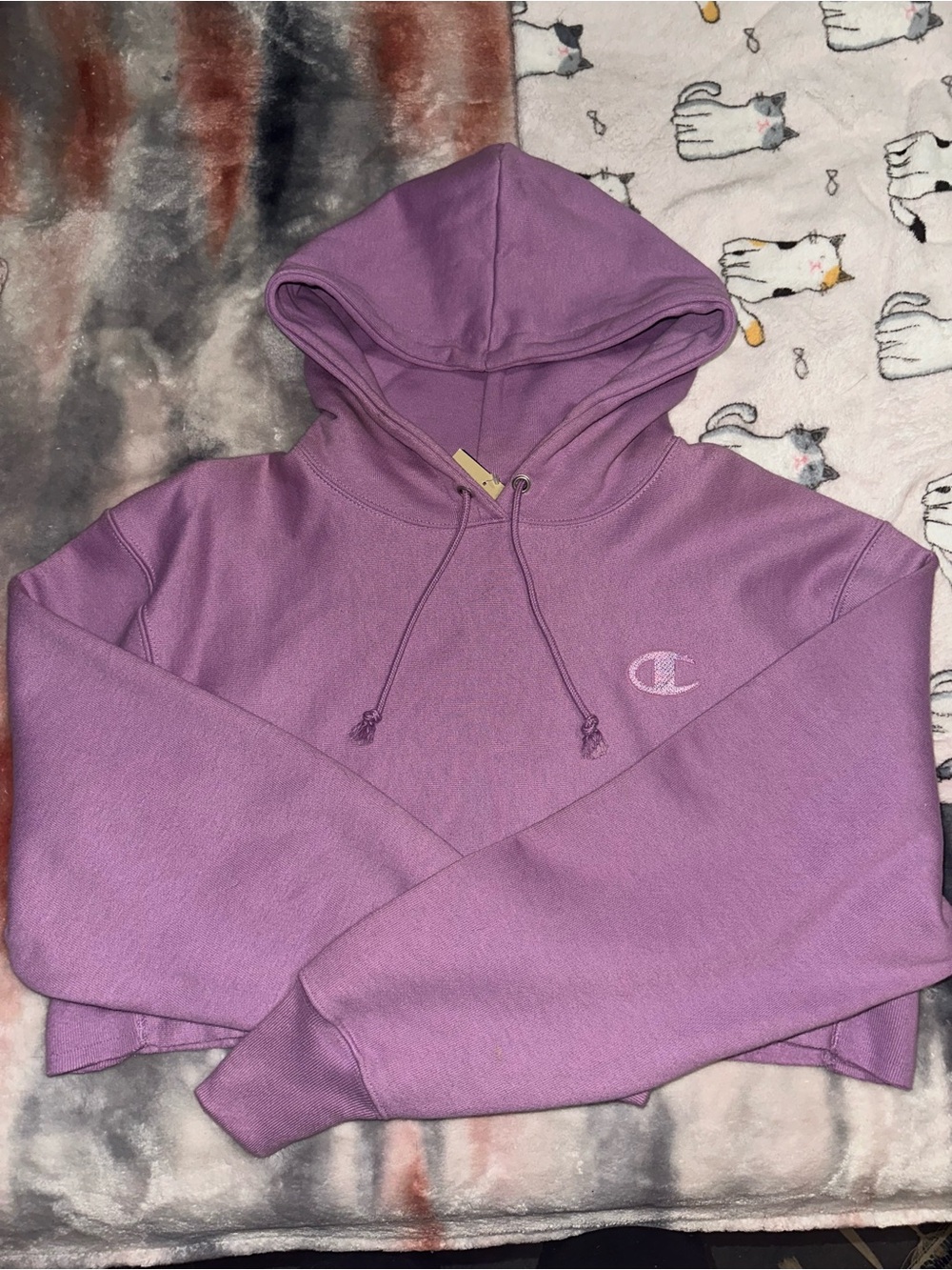 Women’s Champion Reverse Weave Cropped Hoodie